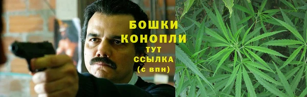 PSILOCYBIN Алексин