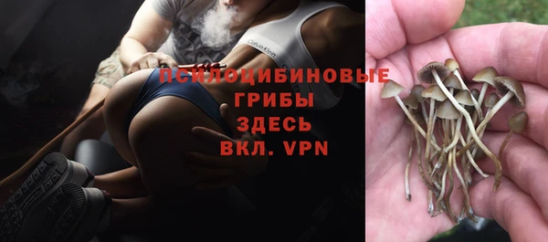 PSILOCYBIN Алексин