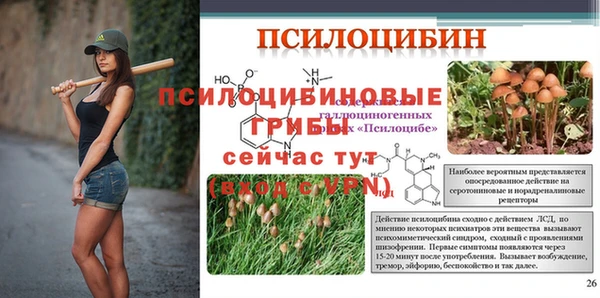 PSILOCYBIN Алексин