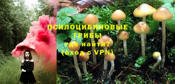 дурь Алзамай