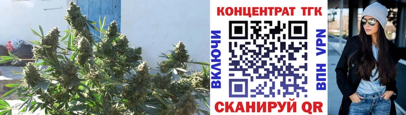 блэк спрут ТОР  Серов  ТГК концентрат 
