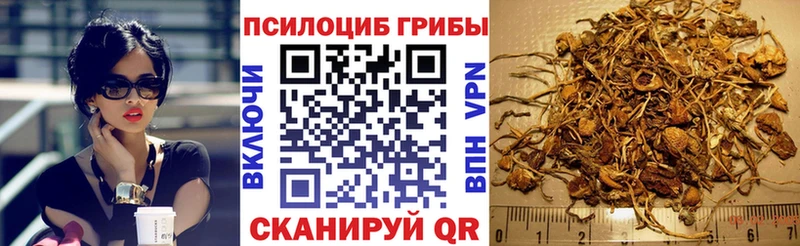 Псилоцибиновые грибы GOLDEN TEACHER Серов